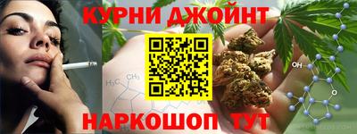 гашик Кинель