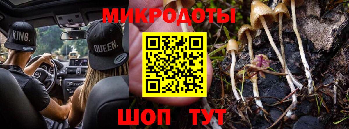 Кохма  Галлюциногенные грибы Psilocybine cubensis  Вход с VPN 